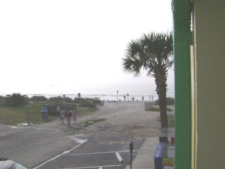 Sea Hawk Oceanfront Motel Myrtle Beach Natura zdjęcie