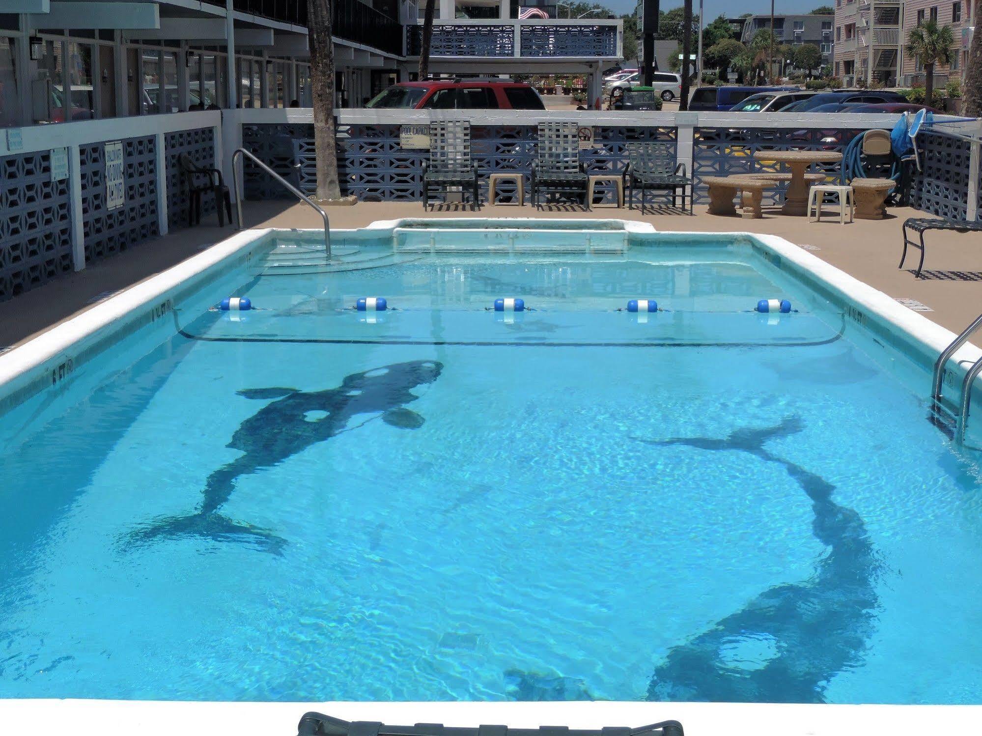 Sea Hawk Oceanfront Motel Myrtle Beach Zewnętrze zdjęcie