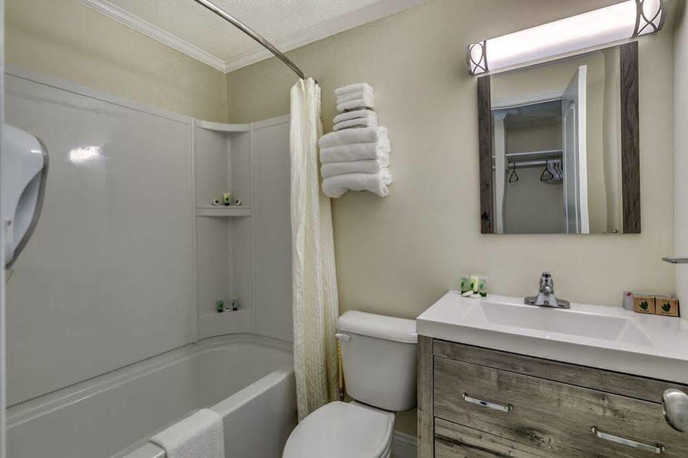 Sea Hawk Oceanfront Motel Myrtle Beach Zewnętrze zdjęcie